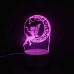 Fairy Acrylic Lamp